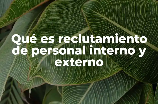 Qué es Reclutamiento de Personal Interno y Externo