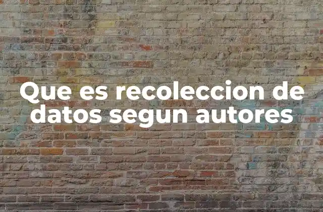 Que es Recoleccion de Datos Segun Autores