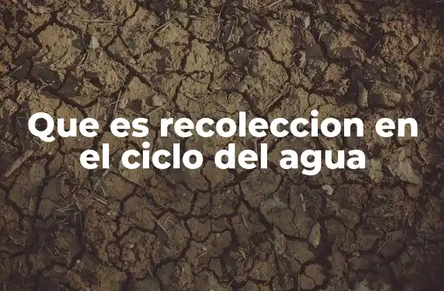 Que es Recoleccion en el Ciclo Del Agua