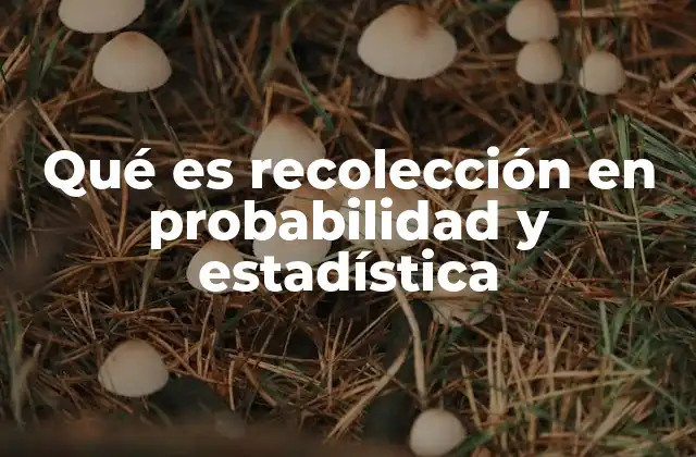 Qué es Recolección en Probabilidad y Estadística