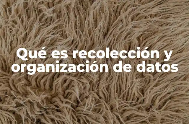 Qué es Recolección y Organización de Datos 2 La base de todo análisis: desde la captura hasta la estructuración