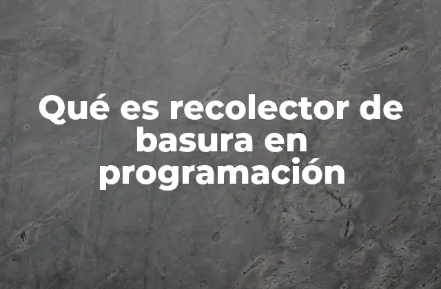 Qué es Recolector de Basura en Programación