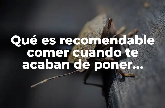Cómo elegir correctamente los alimentos tras la colocación de brackets