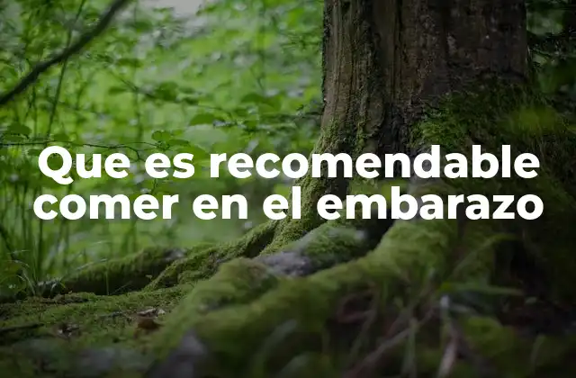 Que es Recomendable Comer en el Embarazo