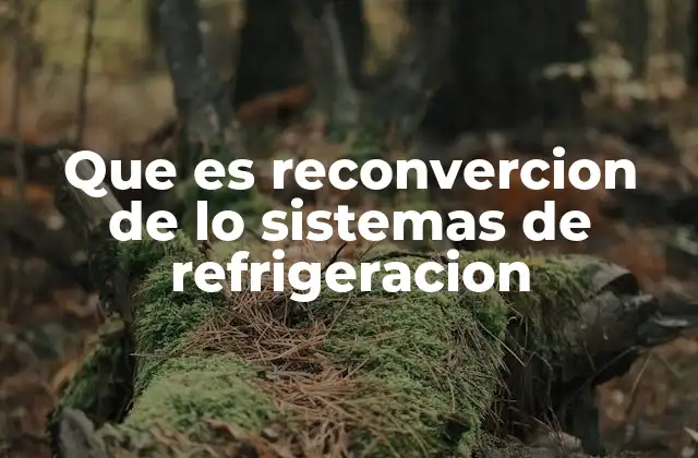Que es Reconvercion de Lo Sistemas de Refrigeracion