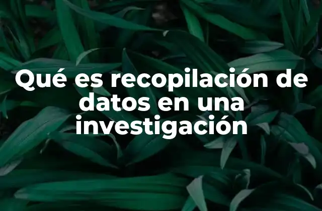 Qué es Recopilación de Datos en una Investigación