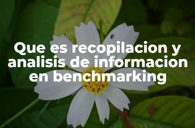 Que es Recopilacion y Analisis de Informacion en Benchmarking