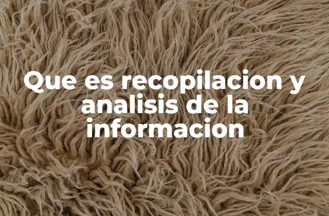 Que es Recopilacion y Analisis de la Informacion