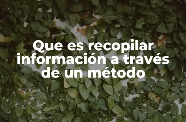 Que es Recopilar Información a Través de un Método