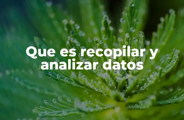 Que es Recopilar y Analizar Datos