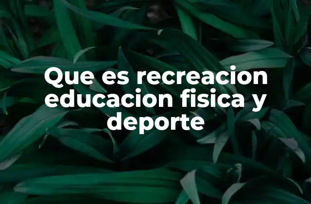 El rol de la recreación en el desarrollo integral
