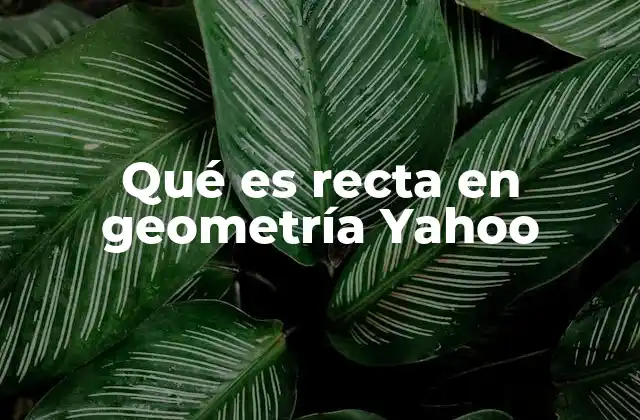 Qué es Recta en Geometría Yahoo