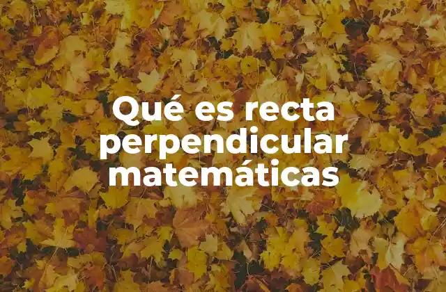 Qué es Recta Perpendicular Matemáticas