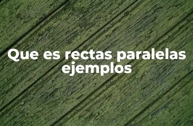 Que es Rectas Paralelas Ejemplos