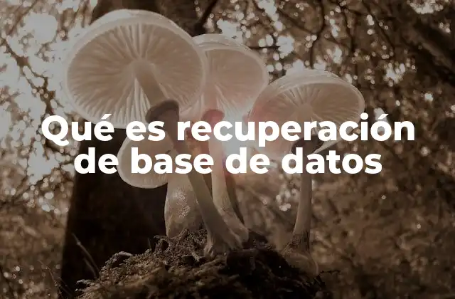 Qué es Recuperación de Base de Datos