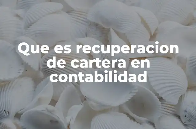 Que es Recuperacion de Cartera en Contabilidad