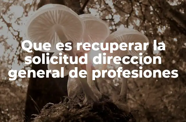 Que es Recuperar la Solicitud Direccion General de Profesiones