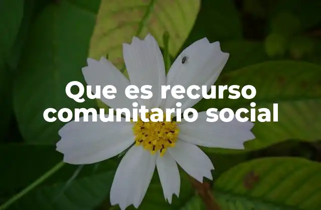 Que es Recurso Comunitario Social