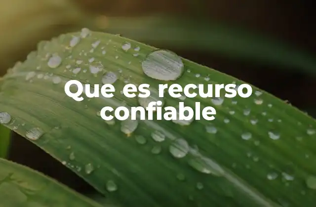 Que es Recurso Confiable