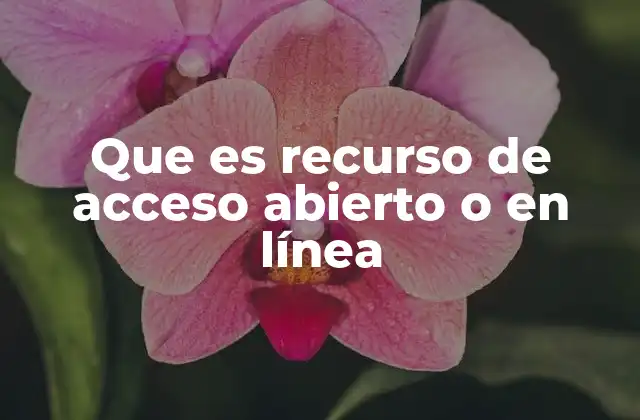 Que es Recurso de Acceso Abierto o en Línea
