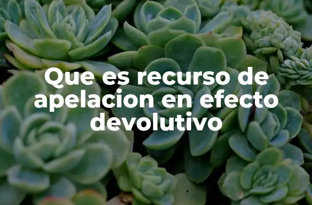 Que es Recurso de Apelacion en Efecto Devolutivo