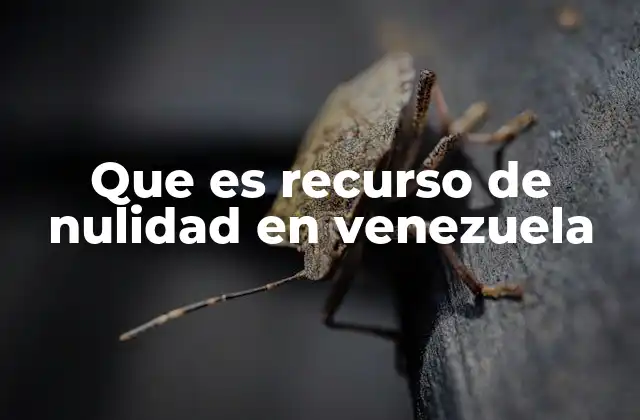 Que es Recurso de Nulidad en Venezuela