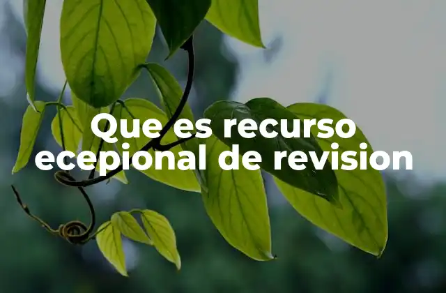 El recurso excepcional de revisión en el contexto del sistema judicial