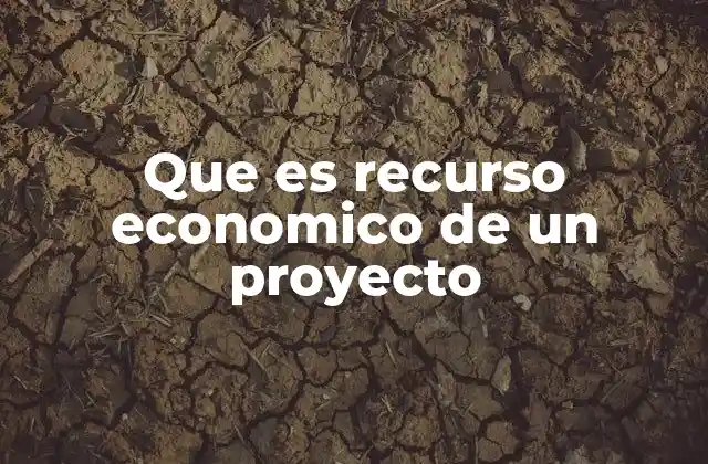 Que es Recurso Economico de un Proyecto