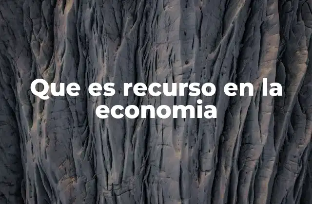 Que es Recurso en la Economia