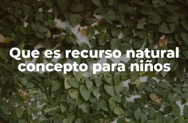 Que es Recurso Natural Concepto para Niños