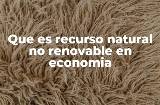 Que es Recurso Natural No Renovable en Economia