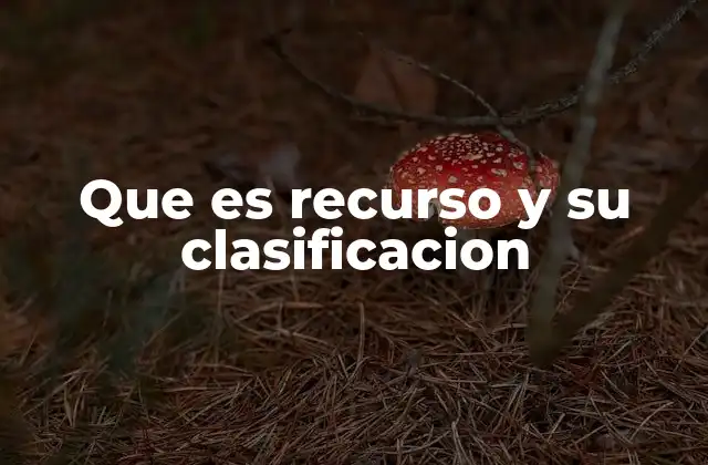 Que es Recurso y Su Clasificacion