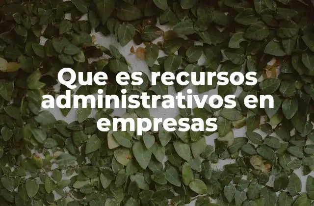 Que es Recursos Administrativos en Empresas
