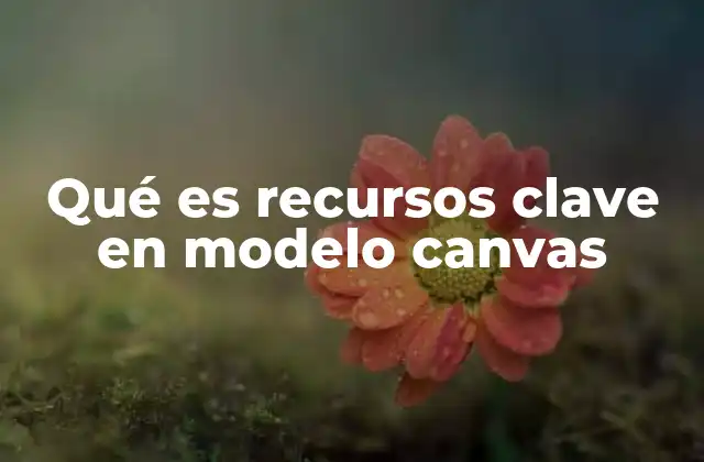 Qué es Recursos Clave en Modelo Canvas