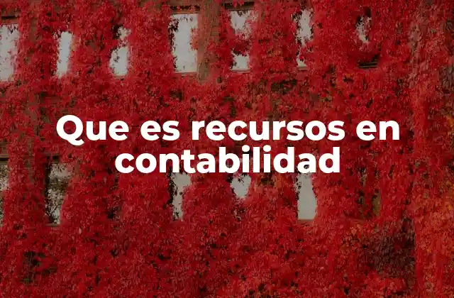 La importancia de los activos en la estructura contable