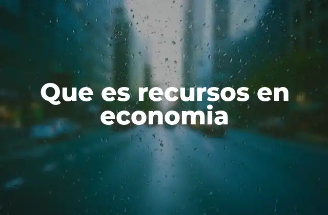 Que es Recursos en Economia
