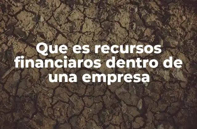 Que es Recursos Financiaros Dentro de una Empresa