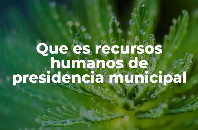 Que es Recursos Humanos de Presidencia Municipal
