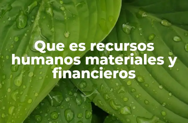 Que es Recursos Humanos Materiales y Financieros