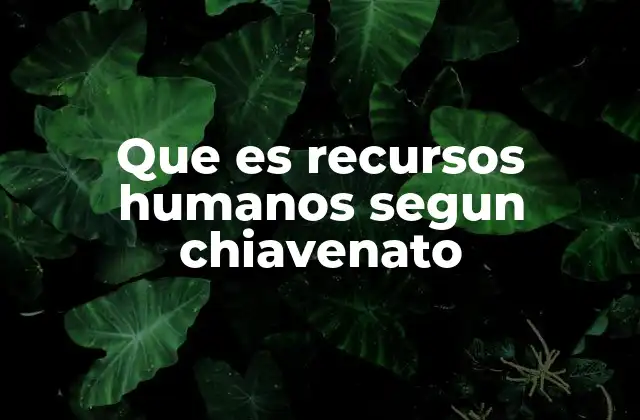 Que es Recursos Humanos Segun Chiavenato