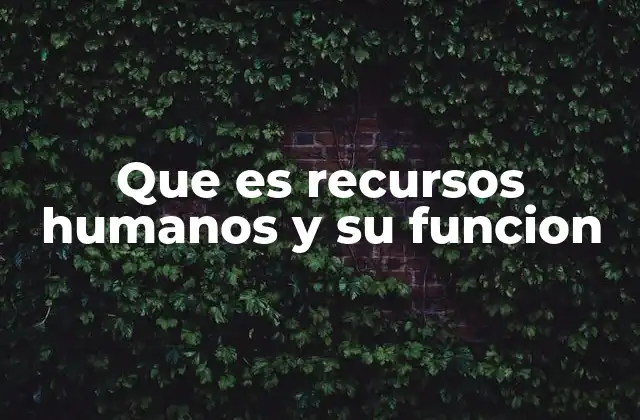 Que es Recursos Humanos y Su Funcion