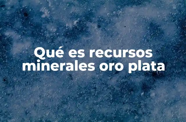 Qué es Recursos Minerales Oro Plata