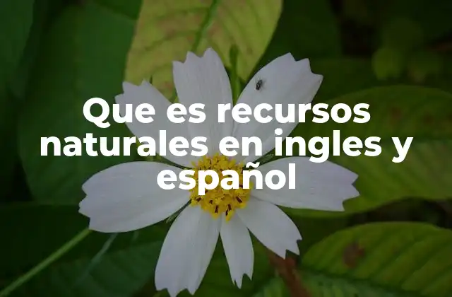 Que es Recursos Naturales en Ingles y Español