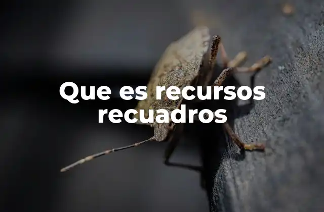 Que es Recursos Recuadros