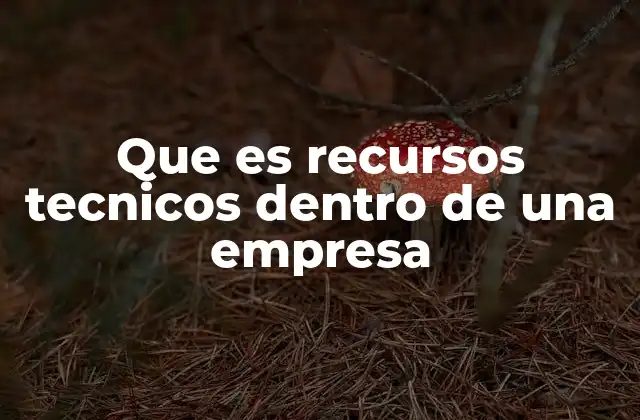 Que es Recursos Tecnicos Dentro de una Empresa