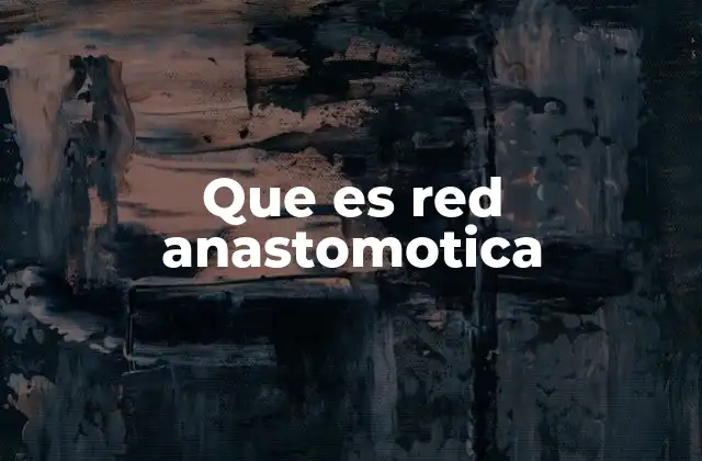 Que es Red Anastomotica