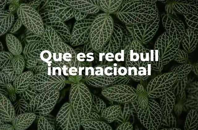 Que es Red Bull Internacional