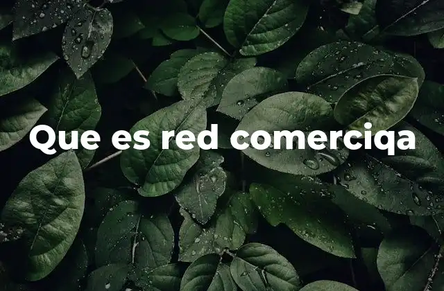 Que es Red Comerciqa