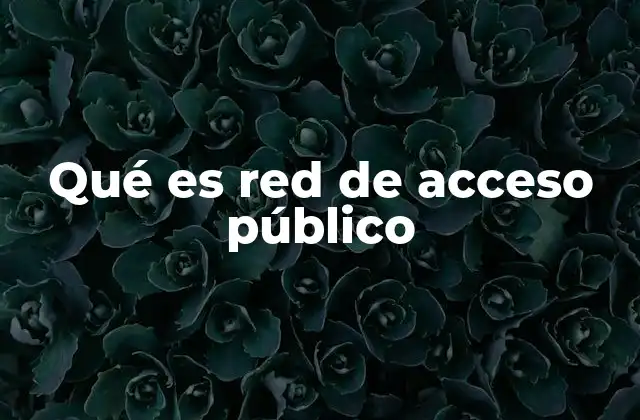 Qué es Red de Acceso Público