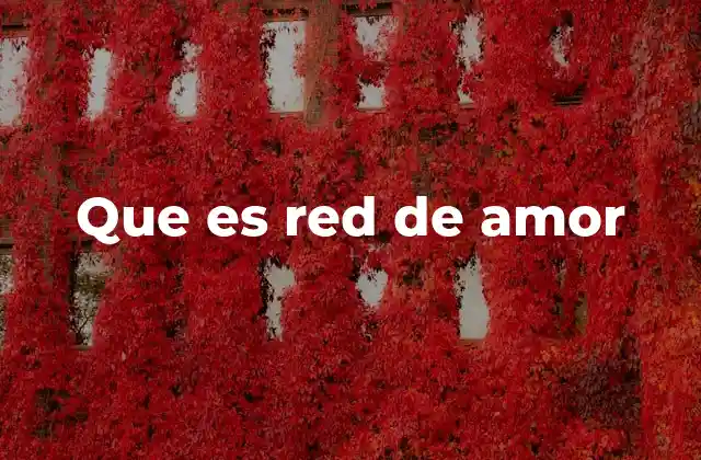 Que es Red de Amor